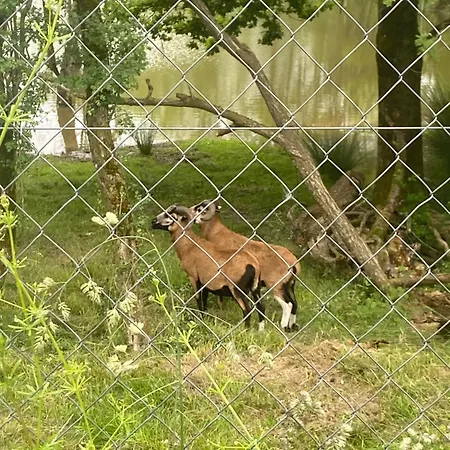 Les Pichies, Insolite, Tiny House De Julia * Saint-Leger-sur-Vouzance