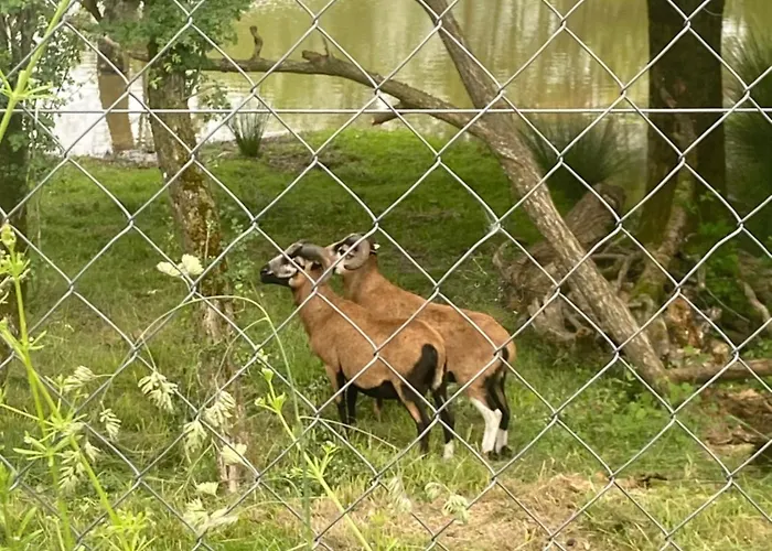 Les Pichies, Insolite, Tiny House De Julia * Saint-Leger-sur-Vouzance