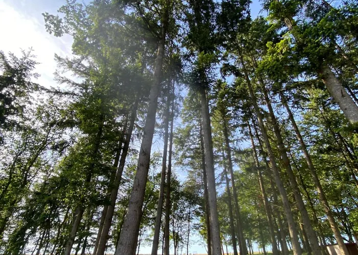 Les Pichies, Insolite, Tiny House De Julia